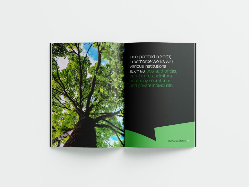 Identity refresh and comprehensive brand scheme